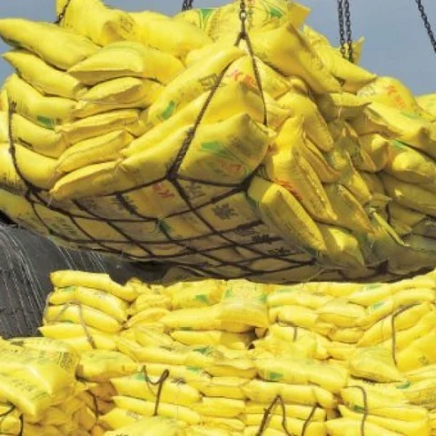 ஏற்றுமதி பற்றி A டு Z கற்றுத்தரும் பசுமை விகடனின் `லாபம் தரும் வேளாண் ஏற்றுமதி' நிகழ்ச்சி!