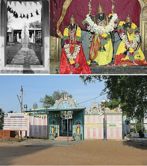 நேர்த்திக்கடனாக... அரிசி, வெல்லம், பருப்பு, பயறு!