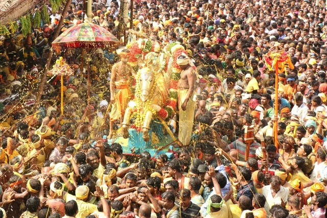 அழகருக்கே ‘டேக் டைவர்ஷனா?' - மதுரை நகருக்குள் பாலம் கட்டும் பணியால் பாதை மாறும் கள்ளழகர்!