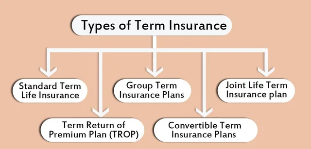 Points to consider about Term Plan life insurance..!