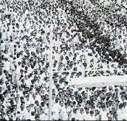 ஜனவரி 26; குடியரசு தினம் - டாப் 10 தருணங்கள்..