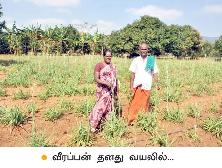 தினம் தினம் பணம்... சம்பங்கி... சாமானியனின் வங்கி!