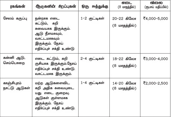 ஆடு வளர்ப்பில் அற்புத லாபம்!