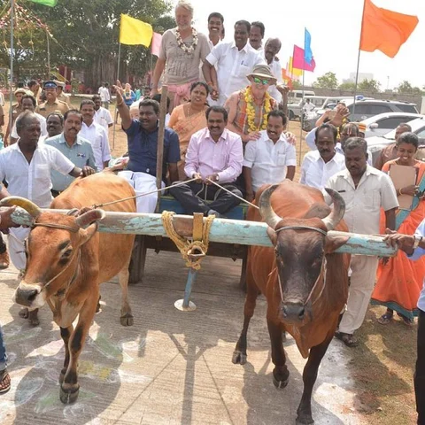 மாட்டு வண்டி ஓட்டிய மாவட்ட ஆட்சியர்! - மாமல்லபுரம் சுற்றுலாப் பயணிகளோடு பொங்கல் கொண்டாட்டம்