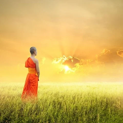 10 Intriguing Reflections about the Mind and its Nature