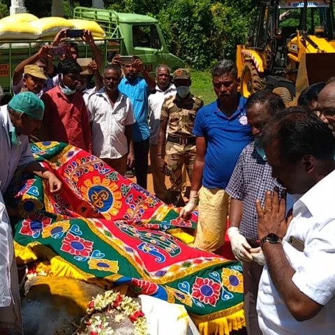 இலஞ்சி கோயில் யானை உயிரிழந்த விவகாரம் - விசாரணை நடத்த பக்தர்கள் கோரிக்கை!