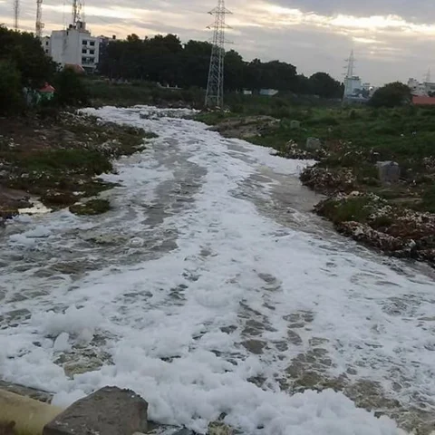 நொய்யலில் பொங்கிய நுரை - மாசுக் கட்டுப்பாட்டு அதிகாரிகள் ஆய்வு!