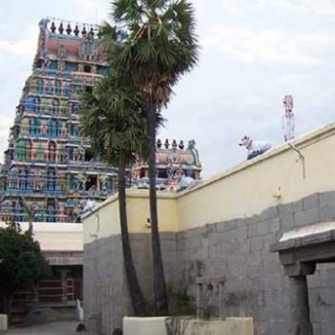 வேலூர் மார்க்கபந்தீஸ்வரர் கோயிலில் 8-ம் தேதி கடைஞாயிறு விழா - சிம்மக்குளம் திறப்பு