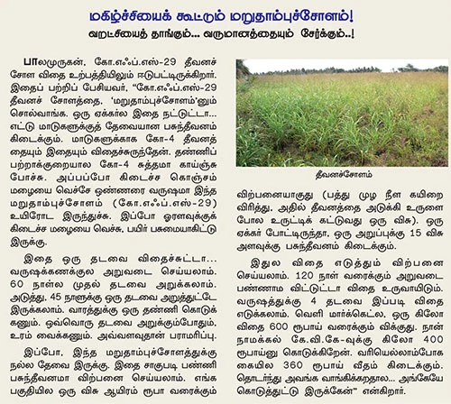 நாட்டுக்கோழி வளர்ப்பில் 'நச்'லாபம்