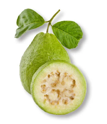 கோடை உணவு கொஞ்சம் உஷாரு!