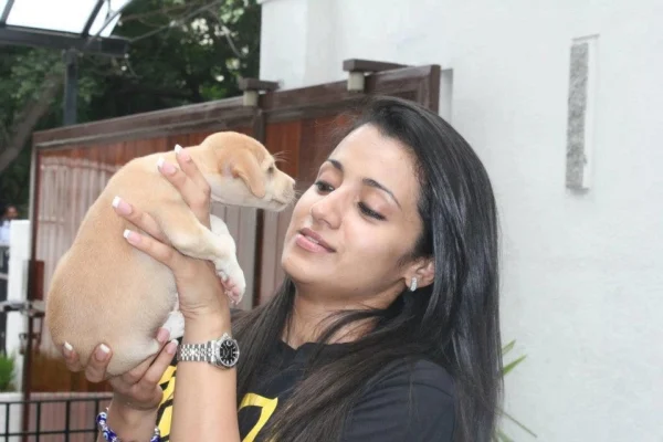 'பத்ரா' வீசப்பட்ட சம்பவம்:கொதித்தெழுந்த த்ரிஷா!