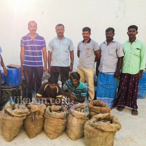 தூத்துக்குடியில் 200 கிலோ பதப்படுத்தப்பட்ட கடல் அட்டை பறிமுதல் - இருவர் கைது!