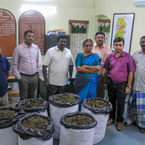 தூத்துக்குடியிலிருந்து இலங்கைக்குக் கடத்த முயன்ற 181 கிலோ கஞ்சா பறிமுதல்!