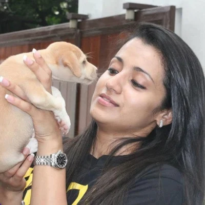 'பத்ரா' வீசப்பட்ட சம்பவம்:கொதித்தெழுந்த த்ரிஷா!
