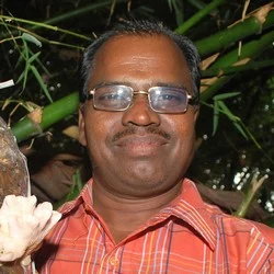 விவசாயத்தை கருவறுக்கிறதா கருவேல மரங்கள்? - ஒரு அலசல் ரிப்போர்ட் #WhereIsMyGreenWorld