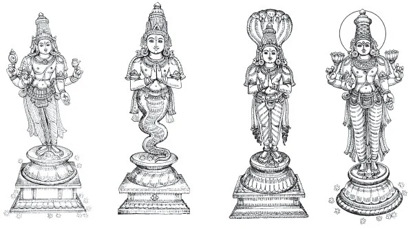 உள்ளங்கையில் சில உண்மைகள்