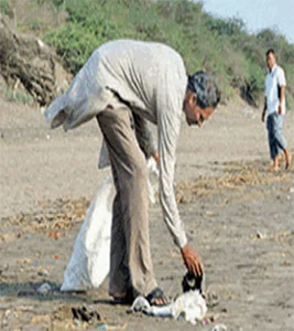 கடற்கரையை சுத்தப்படுத்தும் தனி ஒருவன்! #WhereIsMyGreenWorld