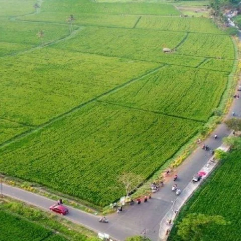 45 ஏக்கர் நிச்சயம்... 200 ஏக்கர் லட்சியம்... நஞ்சு நிலங்களை மீட்கும் 'அடையாளம்' குழு!