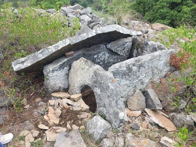 `போதமலை கல்திட்டைப் பாதுகாக்க வேண்டும்' - சேலம் வரலாற்று சங்கத்தினர் வேண்டுகோள்!