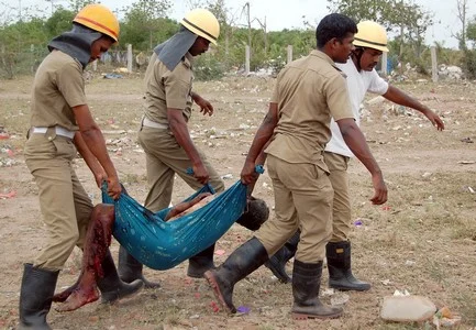 பாடம் படிக்காத பட்டாசு ஆலைகள்...பலியாகும் உயிர்கள்!