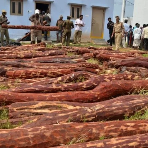 செம்மரக் கடத்தல் துப்பாக்கிச் சூடு விவகாரத்தில் அரசு விசாரணை கூடாது : ஐஜி., காந்தாராவ்