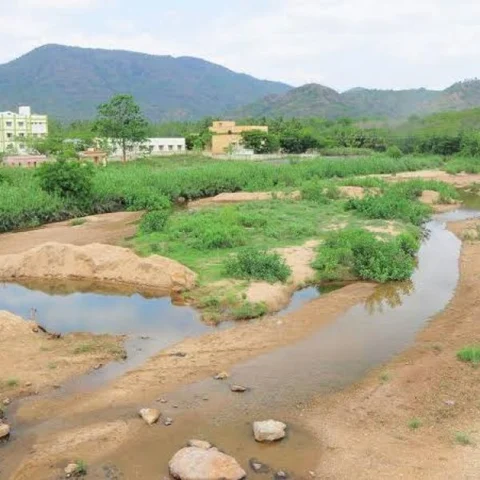 வைகை, முல்லைப்பெரியாறு ஆறுகளில் தொடரும் தண்ணீர் திருட்டு.! - கலெக்டர் கவனிப்பாரா?