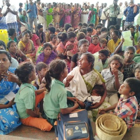 `இப்படி அலைக்கழிக்கிறாங்களே?’ - திருப்பூர் கலெக்டர் ஆபீஸில் சாலையோர மக்கள் கண்ணீர்