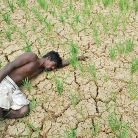 ''எங்கள விதவையாக்குனது வெவசாயம். ஆனா அரசாங்கம்...?!" - அரசின் அறிக்கையும், நிஜமும் #SpotVisit
