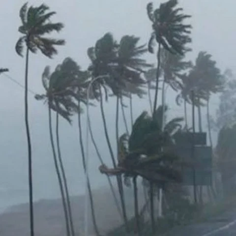 கஜா ஓயவில்லை... அரபிக்கடலில் நிலைகொண்டு கேரளாவைத் தாக்குகிறது!