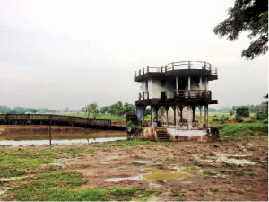 வலையோசை - மு.சிவகுருநாதன்