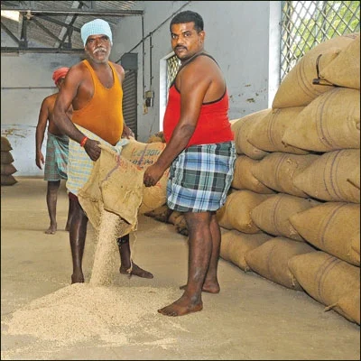 நாட்டுச் சோளத்துக்கு நல்ல விலை!
