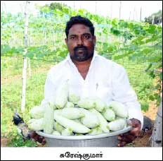 ஏக்கருக்கு ஒரு லட்சம்... பந்தல் காய்கறி... பக்காவான வருமானம்...