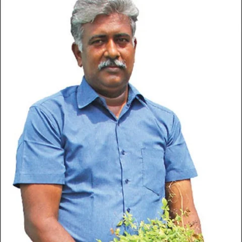 Awareness of Terrace Garden with free country seeds..!