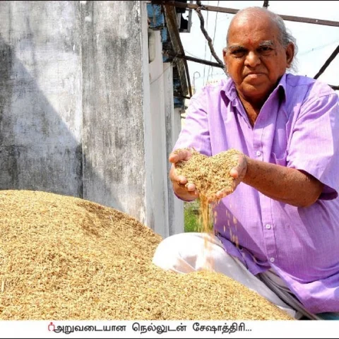 2 acres... 130 days... 1 lakh rupees profit..! Natural and sweet rice