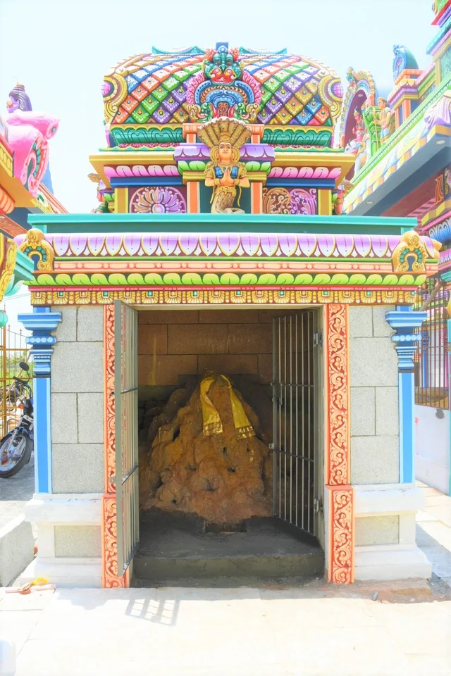 100 ஆண்டுகளாக சிதிலமடைந்த சோழர்கால கோயில் - மீட்டுக்கொடுத்த பாம்புப் புற்று