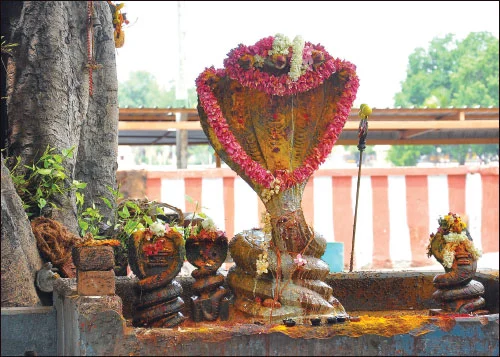 அன்னை மீனாட்சிக்குப் பிரியமானவள்... - தெப்பக்குளம் மாரியம்மன்!