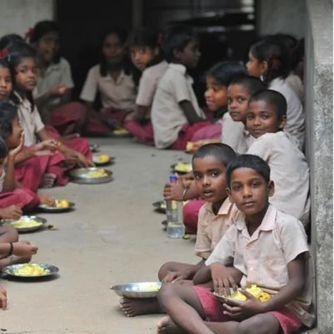 "சத்துணவு முட்டை டெண்டர் விளம்பரம் ஆன்லைனில் இல்லை'' - சட்டப் பஞ்சாயத்து இயக்கம்!