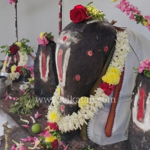 யானைகளுக்குக் கோயில்... சின்னத்தம்பிக்குச் சிறப்பு பூஜை! எங்கே, ஏன்?