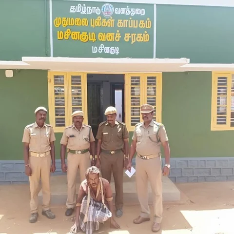 மசினகுடி வனப் பகுதியில் தீ வைத்த நபர்! - வளைத்துப் பிடித்த வனத்துறை