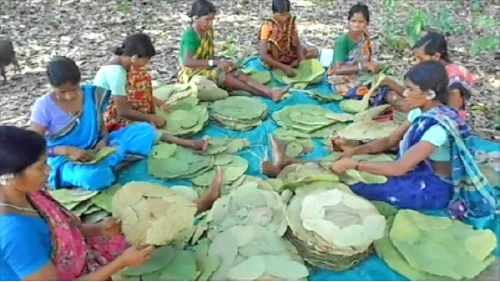 மண்புழு மன்னாரு: மருந்தாகும் மந்தாரை இலை!