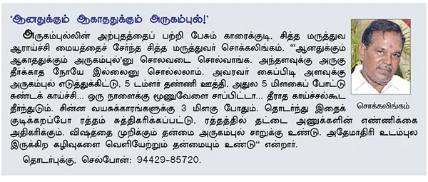 மூலிகை வனம்