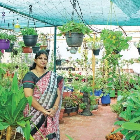 Vegetables to Flowers...Value of Terrace Garden!