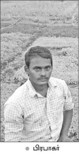 மணக்கும் புதினா... துளிர்க்கும் வருமானம்..!