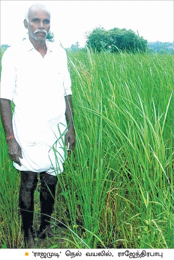 ‘‘இயற்கை விவசாயம் மட்டுமல்ல... தன்னம்பிக்கையும் வளருது!’’