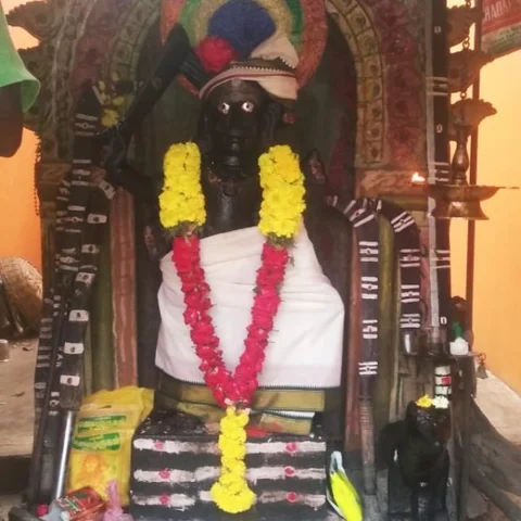 ‘மக்களுக்கு மட்டுமில்ல, காட்டு ஜீவராசிகளுக்கும் காவல் எல்லைக் கருப்பன் தான்!' - பரவசப்படுத்தும் வழிபாடு!
