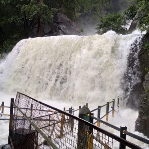 சுருளி அருவியில் பாதுகாப்பு கம்பி சேதம்.. உடனே சீர் செய்யக் கோரிக்கை!