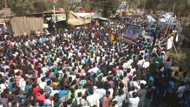 திமிறும் தமிழகம்: அவசரச் சட்டம் பிறப்பித்தார் ஆளுநர்! அலங்காநல்லூரில் நாளை ஜல்லிக்கட்டு #LiveUpdate