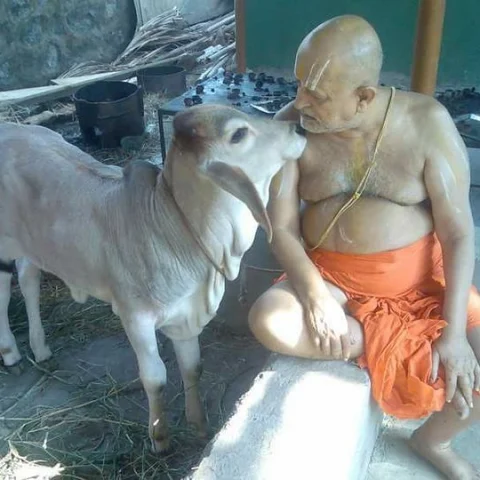 ஸ்ரீரங்கம் ஸ்ரீமத் ஆண்டவர் மடத்தின் ஸ்ரீரங்க ராமாநுஜ மகா தேசிகர் காலமானார்!