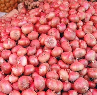 Onion