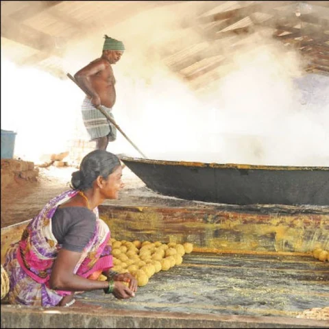 Agri Export for abundant income… Successful strategies! Part 7